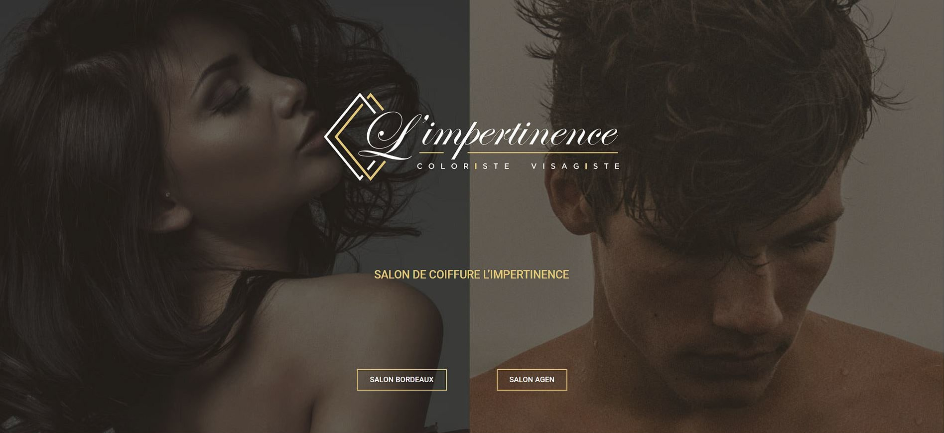 Capture d'écran du site vitrine L'Impertinence